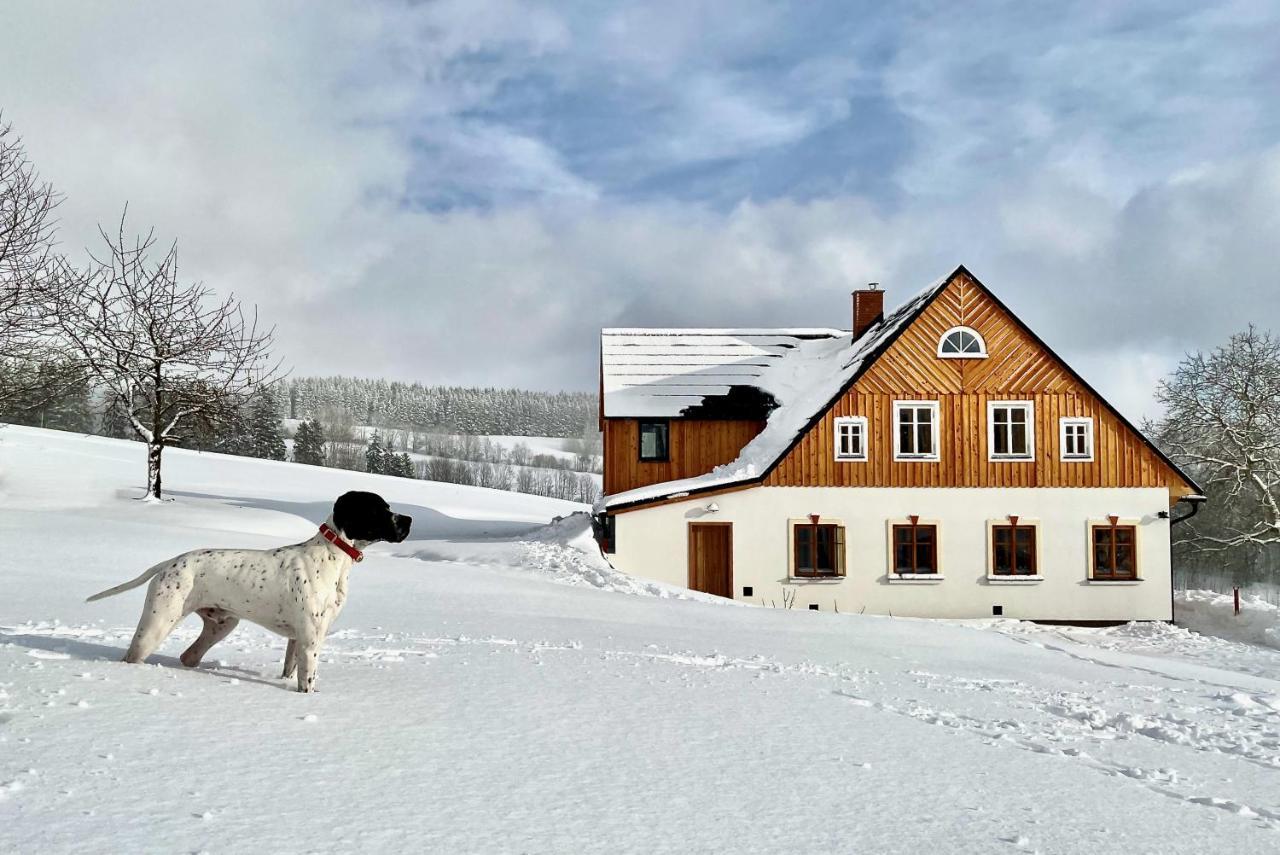 Dead Fox Chalupa Na Samote Vichova nad Jizerou Exterior foto